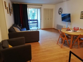 Appartement T2 Ax-les-thermes
